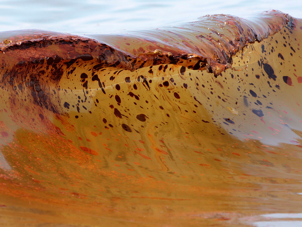 BP Oil Spill 2010